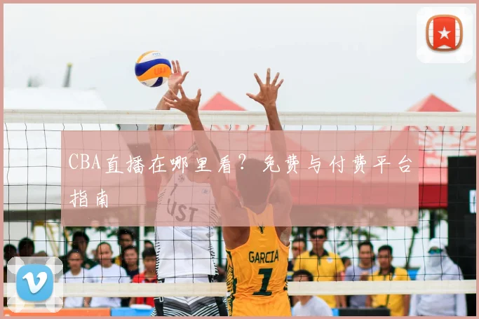 CBA直播在哪里看？免费与付费平台指南