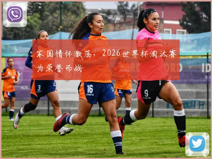 家国情怀激荡，2026世界杯淘汰赛为荣誉而战